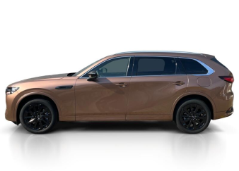 CX-80