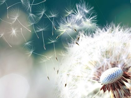 Sezónní čištění klimatizace